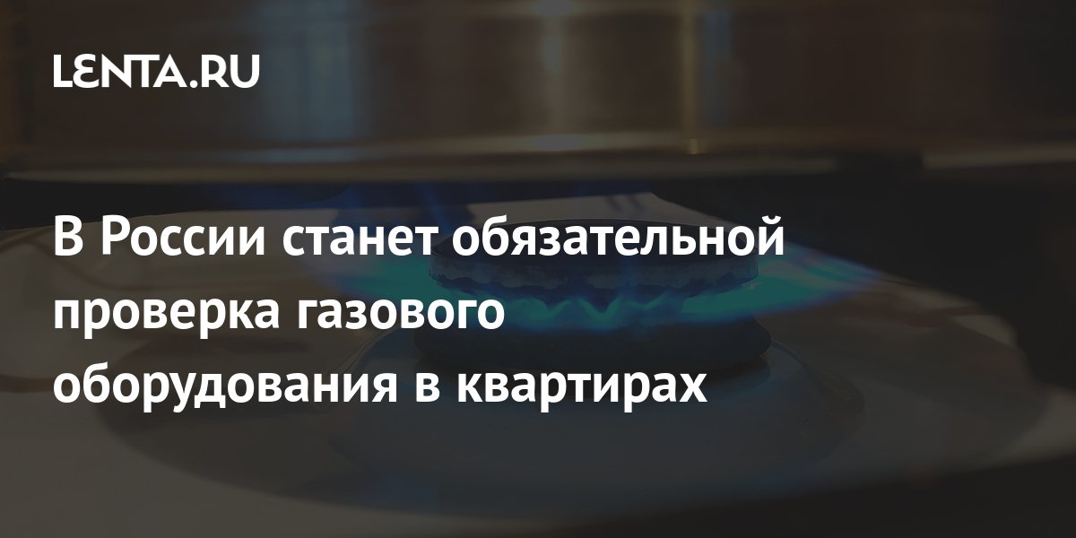 В России станет обязательной проверка газового оборудования в квартирах ...