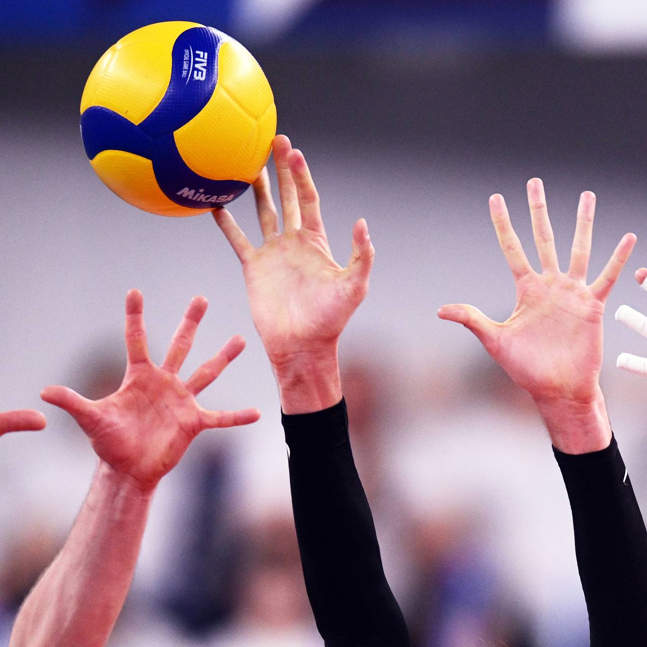 Чемпионат мира по волейболу FIVB 2022