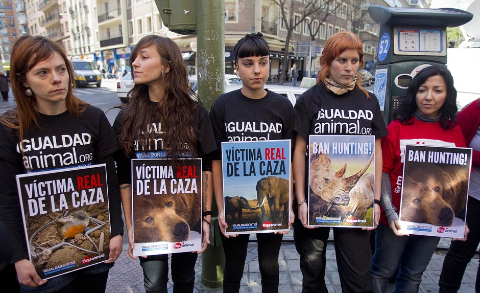 Защитники животных протестуют после королевской охоты в Ботсване, на которой Хуан Карлос убил слона. 2012 год