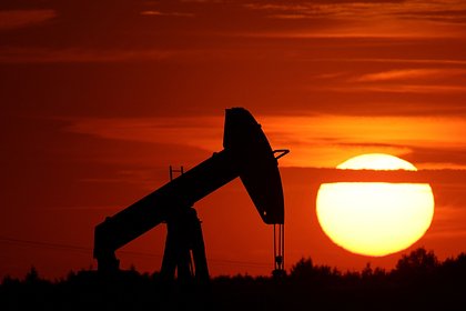 Путин допустил сокращение добычи нефти в ответ на введение Западом потолка цен