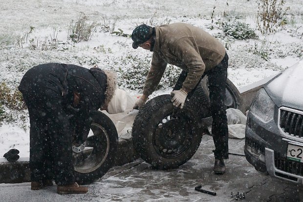 Вводная картинка