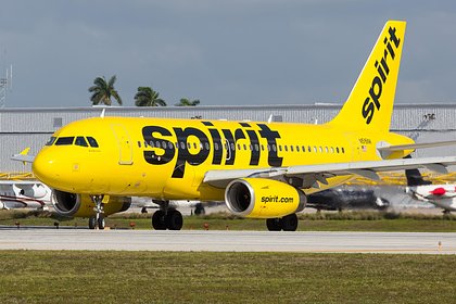 Уволенная за полноту стюардесса обвинила авиакомпанию в расизме