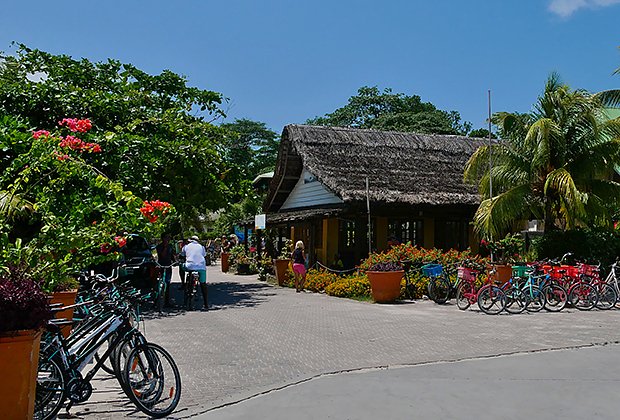 По острову Ла-Диг местные жители и туристы обычно передвигаются на велосипедах