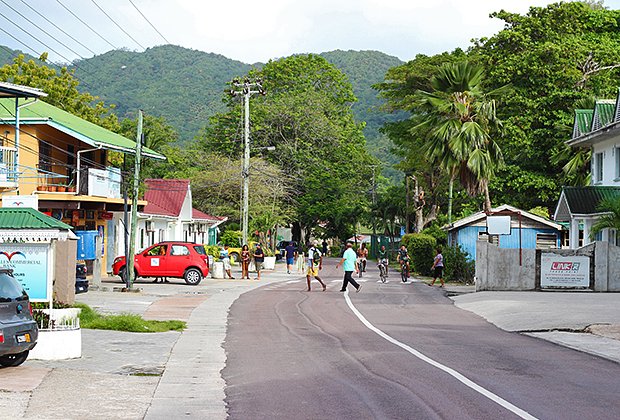 На Праслене растет символ Сейшельских островов — орех коко-де-мер