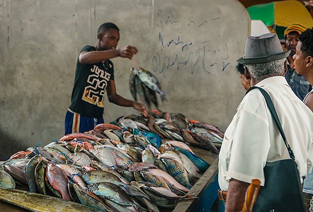 Рыбный рынок в столице Сейшельских островов