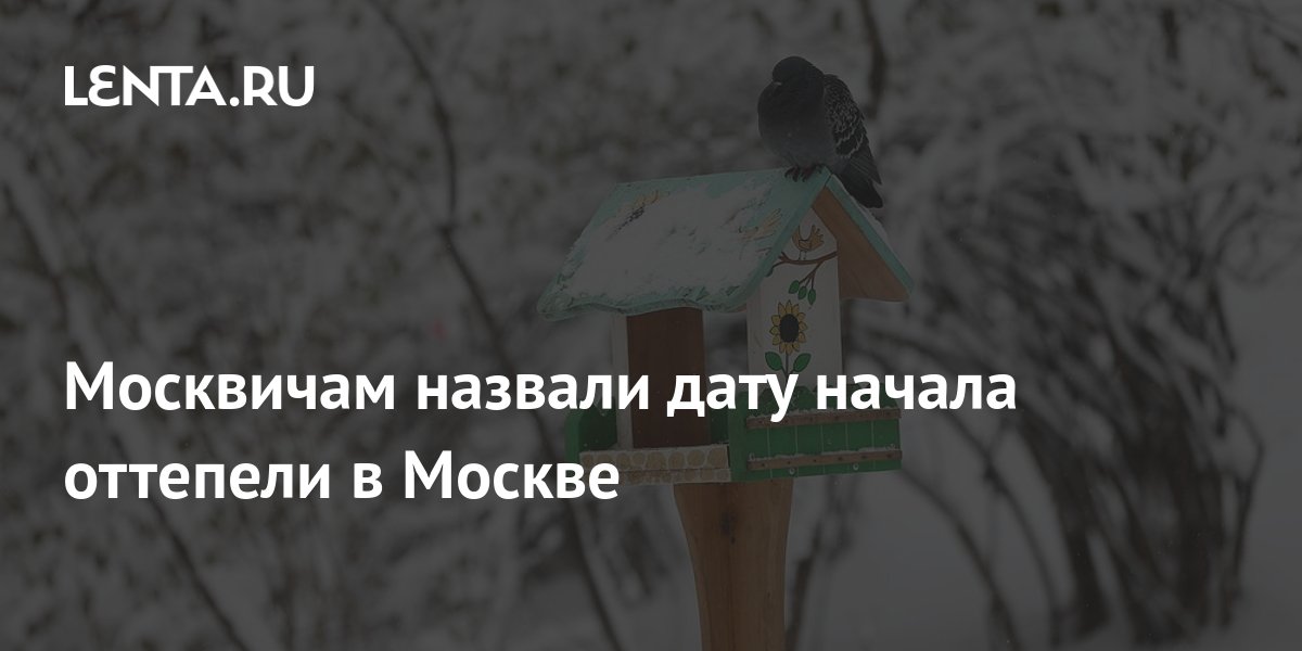 Стихнет мотор минус