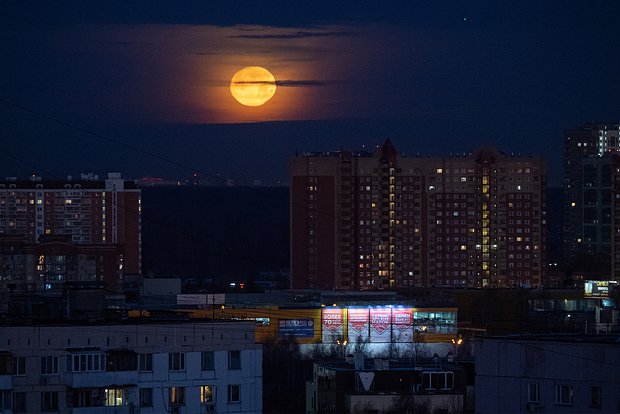 Вводная картинка