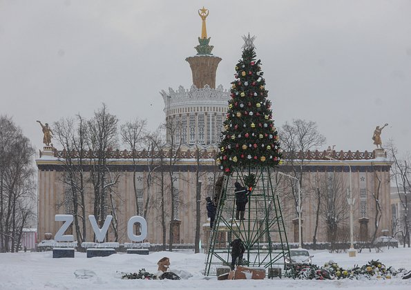 Фото: Yulia Morozova / Reuters