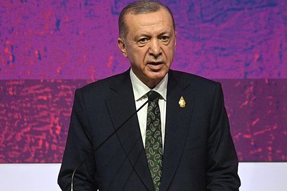 Эрдоган обсудит с правительством проект газового хаба