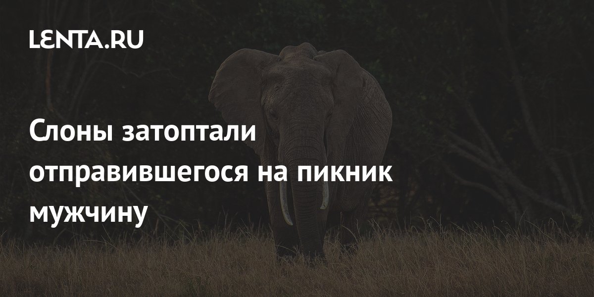 Как это устройство работает?