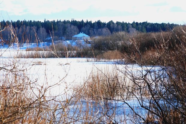 Вводная картинка