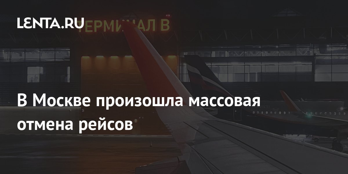 В Москве произошла массовая отмена рейсов: Россия: Путешествия: Lenta.ru