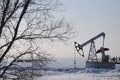 Минфин заявил о падении цены за баррель Urals ниже нефтяного потолка