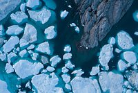 Российские ученые выдвинули новую гипотезу о причинах резкого потепления в Арктике: его связали с мощными землетрясениями
