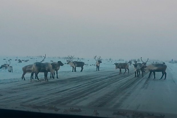 Вводная картинка