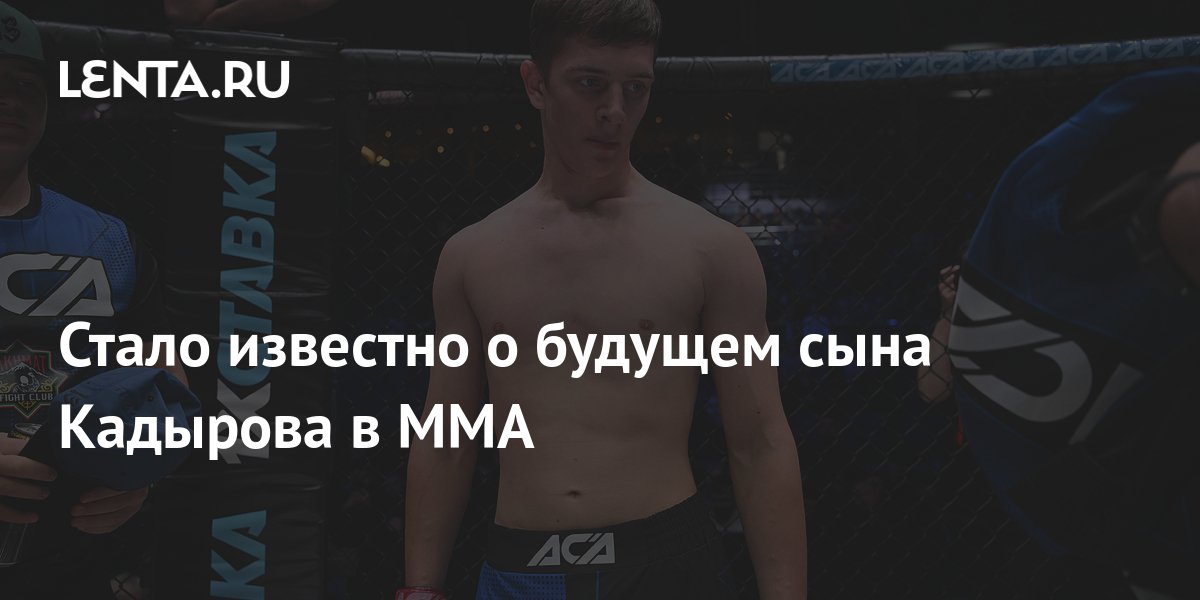Стало известно о будущем сына Кадырова в MMA: Бокс и ММА: Спорт: Lenta.ru