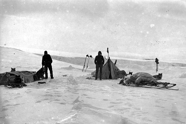 Фото: Альбом экспедиции Седова на Северный полюс в 1912-1914 годах