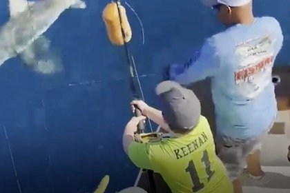 12-летний мальчик отправился на рыбалку и случайно выловил трехметровую акулу