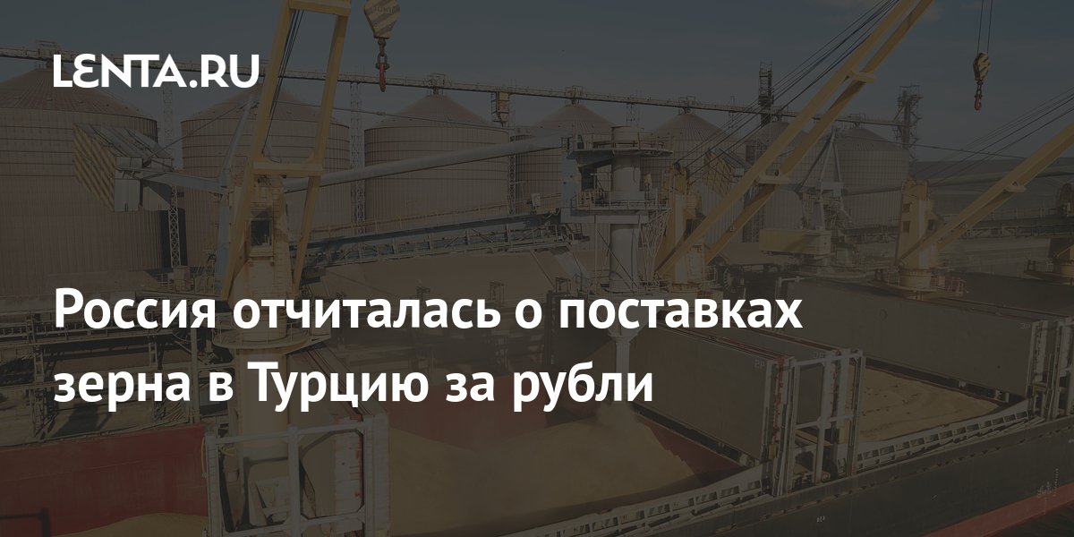 Абрамченко: Турция закупила зерно за рубли, готовится сделка для Египта