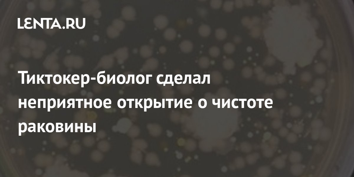 Проект на тему забота о чистоте своей души и о пользе ближнего 4 класс