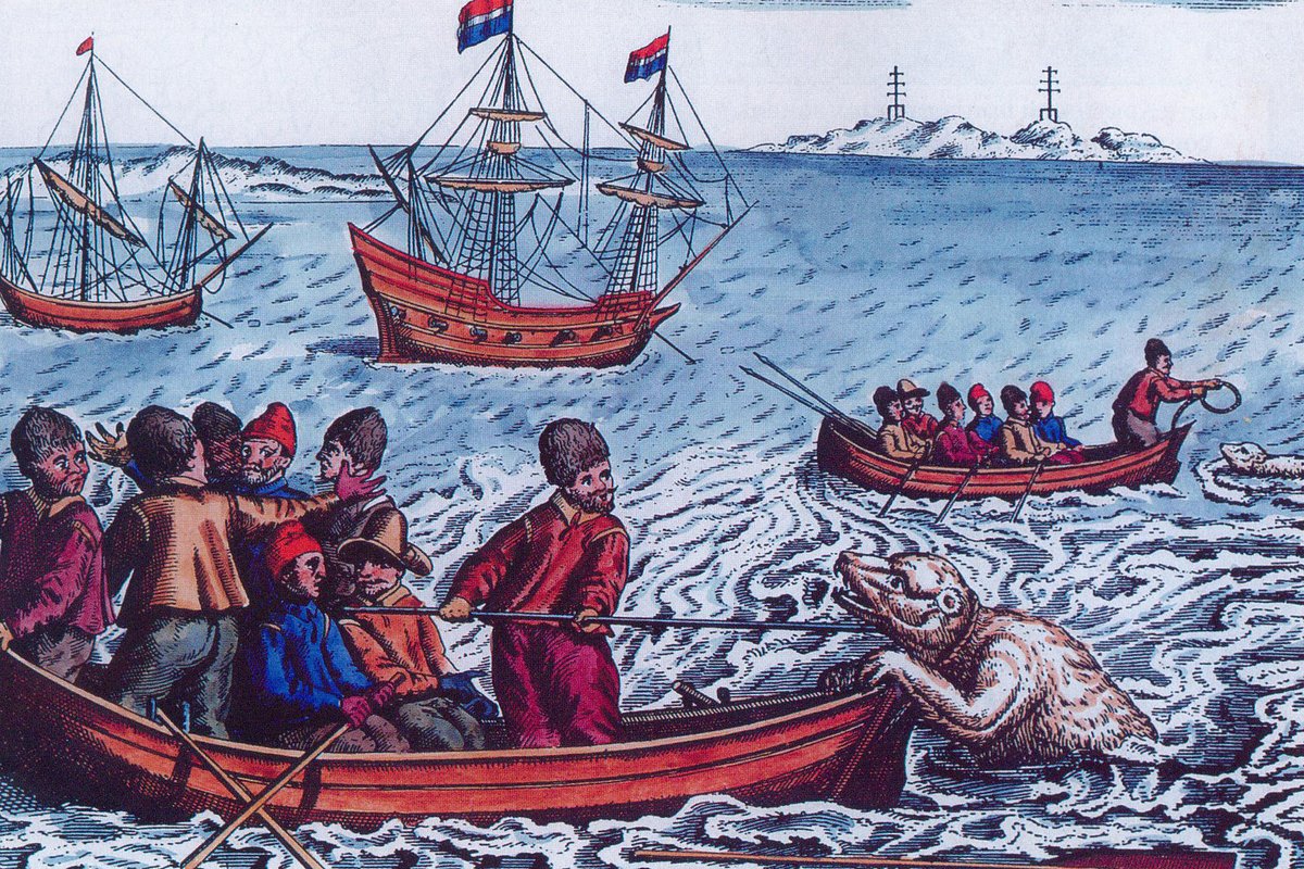 Встреча моряков экспедиции Баренца с белым медведем. Иллюстрация из первого издания «Морского дневника» Геррита де Фера, 1598 год