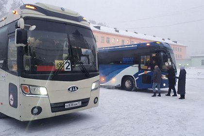 Перевозившие детей автобусы попали в ДТП в российском регионе