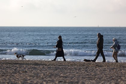 Тело девятиклассника нашли на дне Черного моря возле российского курорта