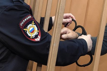 Россиянина осудили на семь лет за избиение до смерти матери