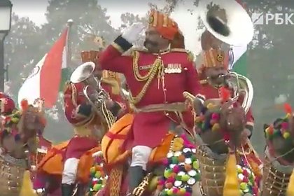 Верблюжья кавалерия на военном параде в Индии попала на видео