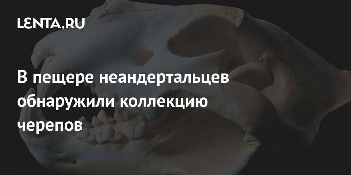 В пещере неандертальцев обнаружили коллекцию черепов: Наука: Наука и ...