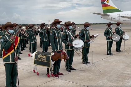 Лукашенко проводили из Зимбабве под музыку и с козлом