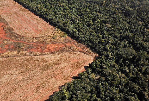 Вид с воздуха на вырубленный лес в Бразилии