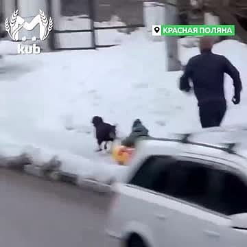 Погоня россиянина за привязанной к собаке ватрушкой с сыном попала на видео