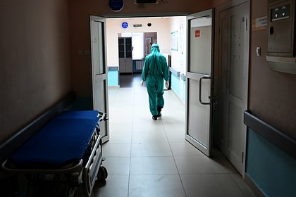 Вирусолог оценил вероятность вспышки привезенной в Россию лихорадки Денге