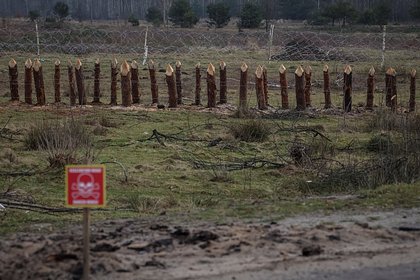 В Белоруссии прокомментировали строительство ВСУ забора на границе