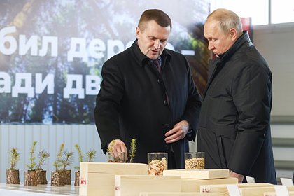 Путину показали шишки
