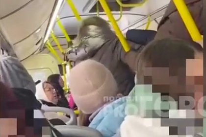 Драку женщины и школьника из-за сухариков в подмосковном автобусе сняли на видео