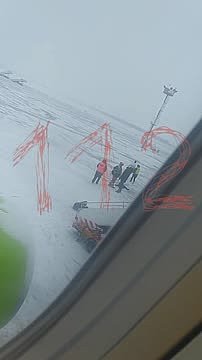 Мужчина выбежал из самолета и разделся на взлетной полосе в Домодедово