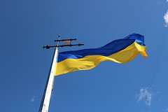 Развернувших флаг Украины активистов на заседании ОБСЕ попросили «убрать тряпку»
