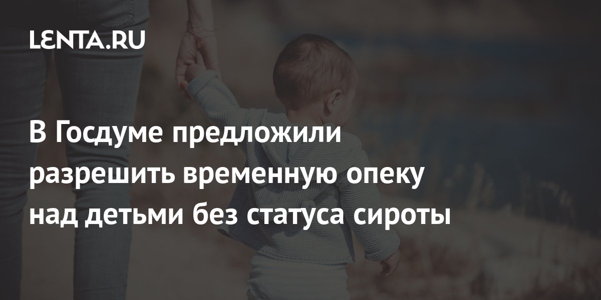 В Госдуме предложили разрешить временную опеку над детьми без статуса ...
