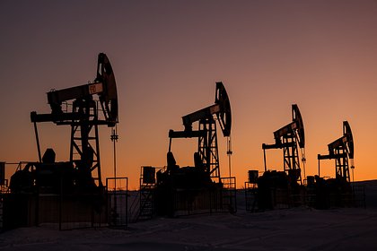 Падение доходов России от продажи нефти и газа оценили