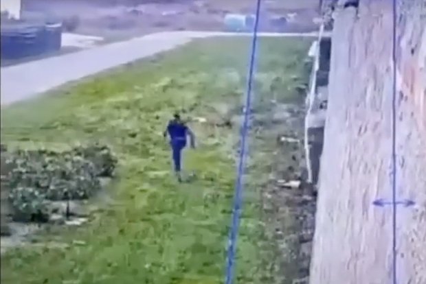 Вводная картинка