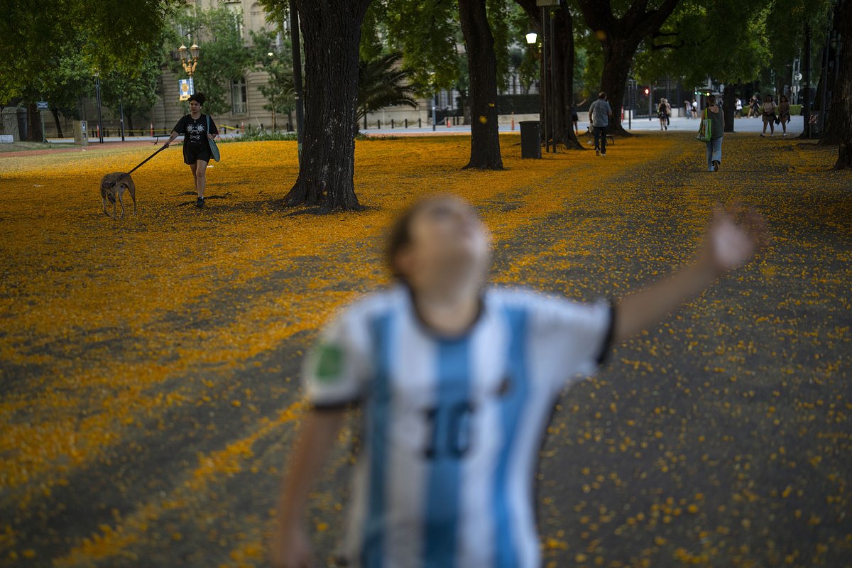 Женщина выгуливает собаку в парке Буэнос-Айреса, 7 декабря 2022 года