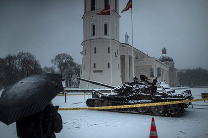 В Госдуме отреагировали на идею о наказании за цветы у российского танка в Литве