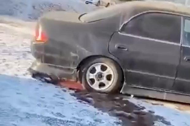 Вводная картинка