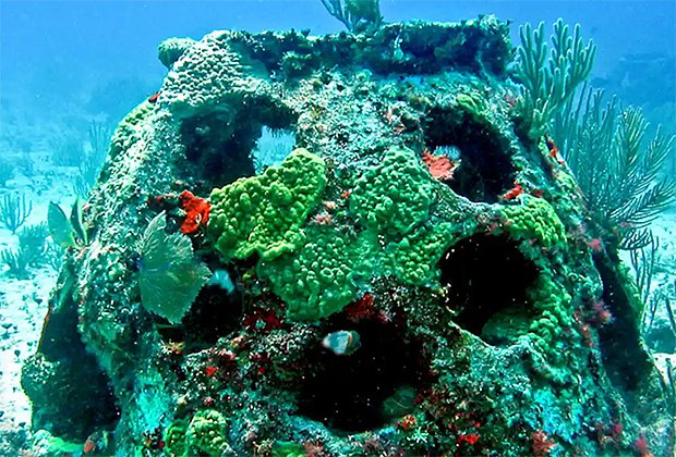 Коралловый риф, созданный компанией Eternal Reefs