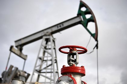 В ОПЕК высказались о перенаправлении экспорта нефти из России
