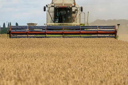 МИД России оценил перспективы продления зерновой сделки