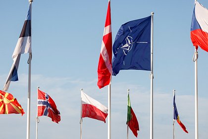 Политолог спрогнозировал реакцию России на расширение НАТО
