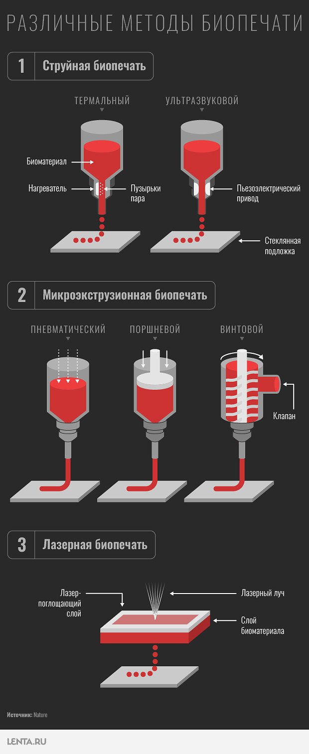 Типы биопечати